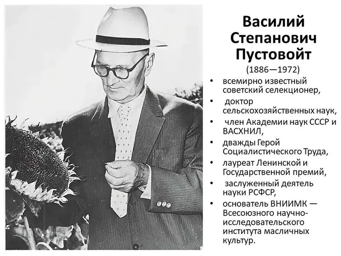 Слайд1